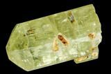 Bag Of Five Yellow Apatite Crystals ( - ) - Morocco #108367-1